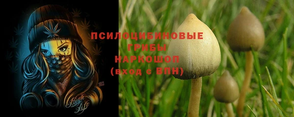 каннабис Коряжма