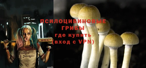 меф Козельск