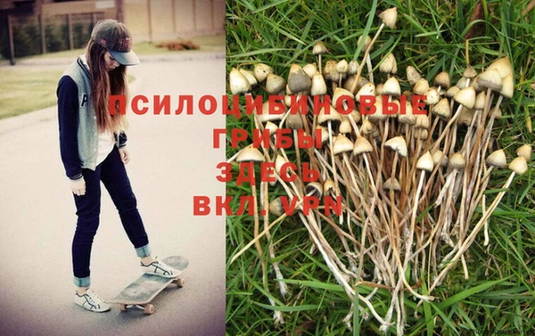 стаф Костерёво